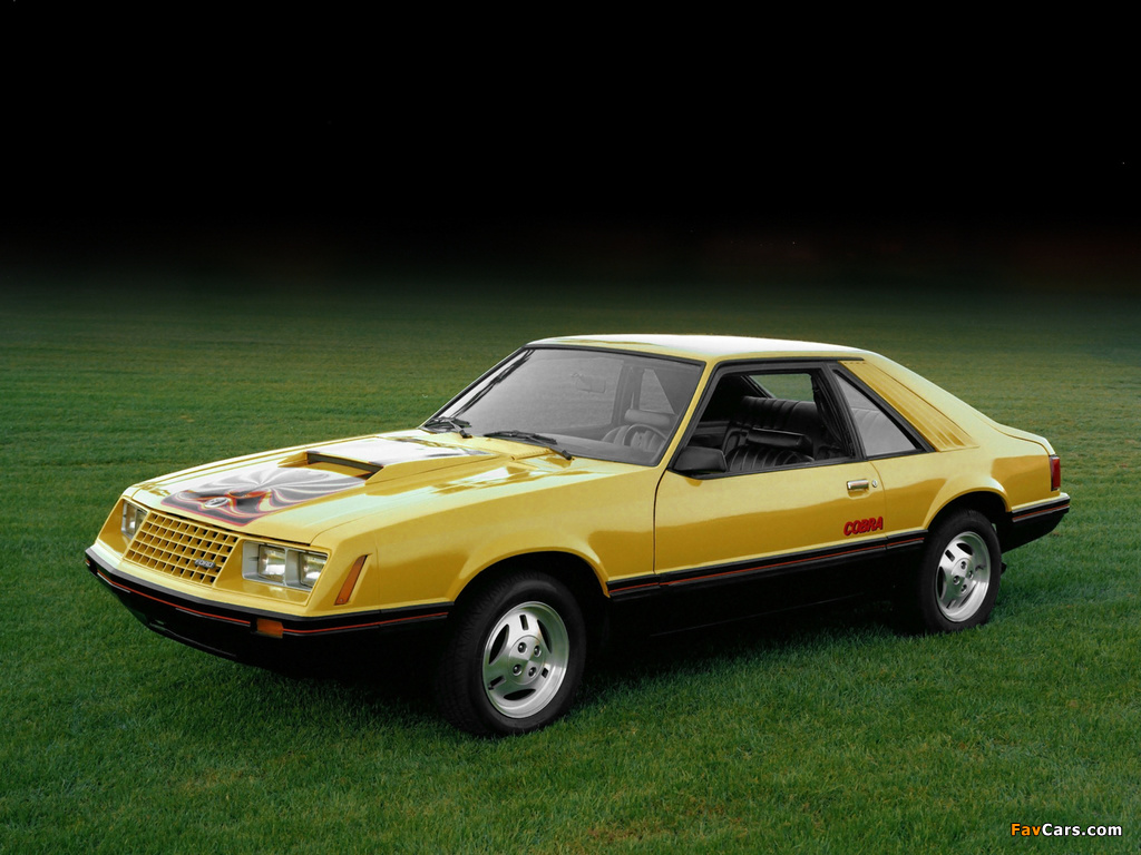 Photos of Mustang Cobra 1981–82 (1024 x 768)