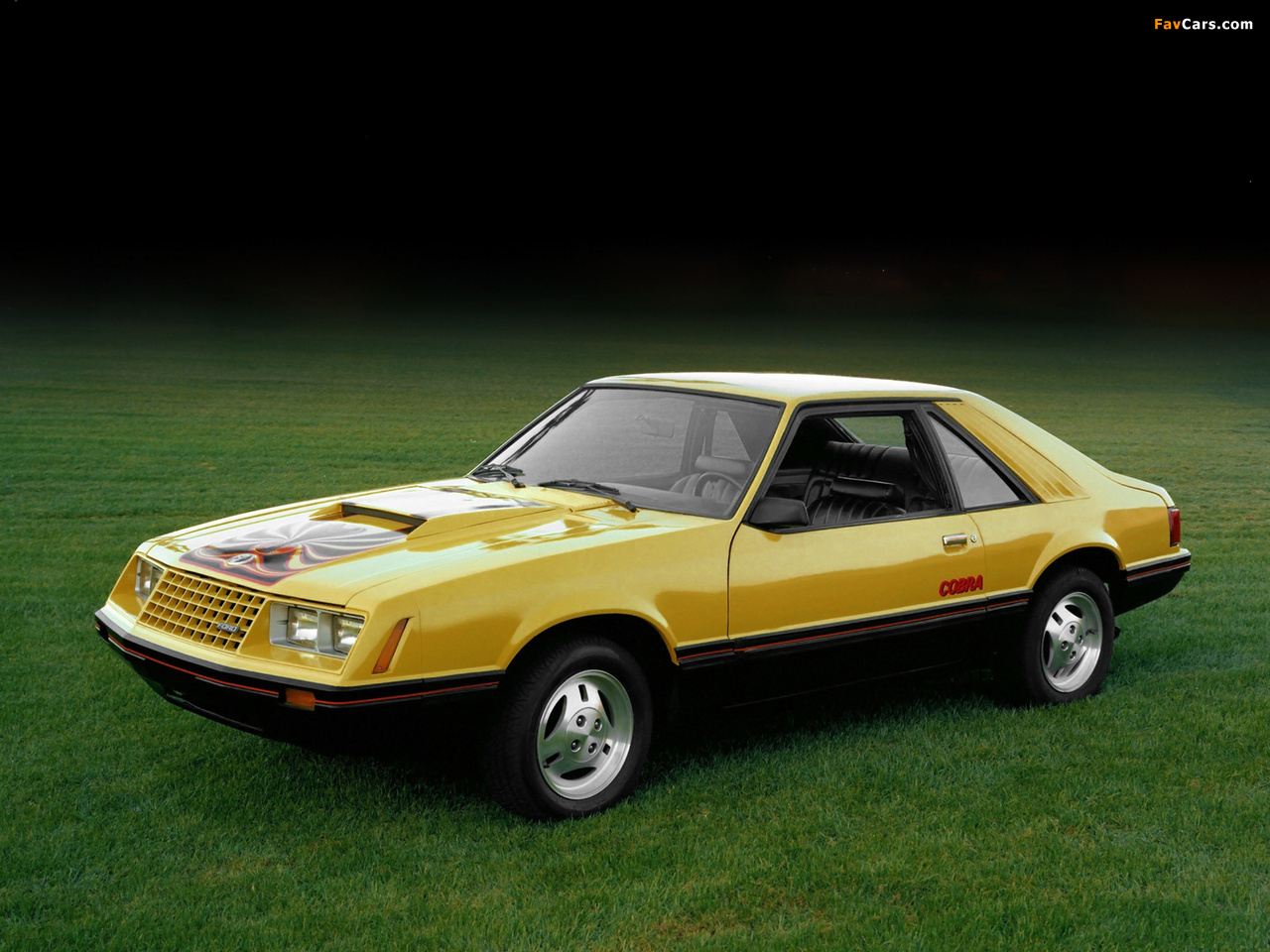 Photos of Mustang Cobra 1981–82 (1280 x 960)