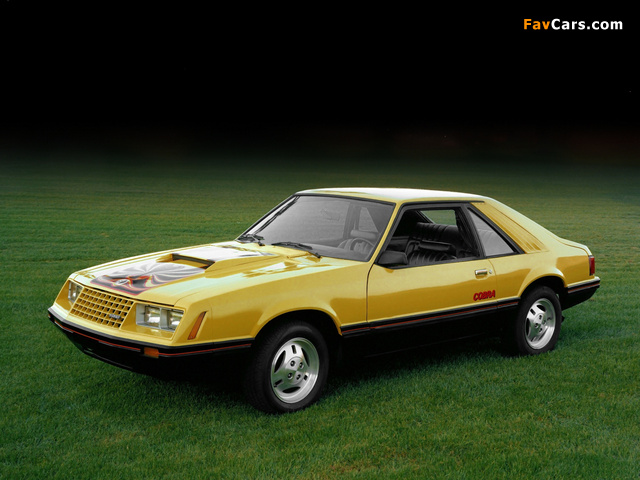 Photos of Mustang Cobra 1981–82 (640 x 480)