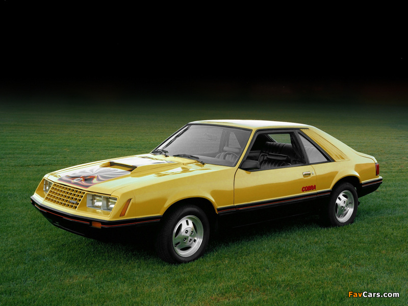Photos of Mustang Cobra 1981–82 (800 x 600)