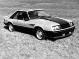 Pictures of Mustang Indy 500 Pace Car 1979