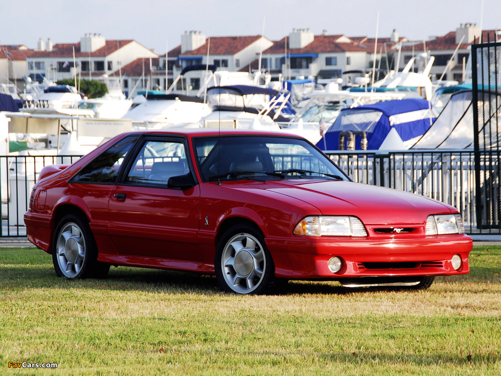 Pictures of Mustang SVT Cobra 1993 (1024 x 768)