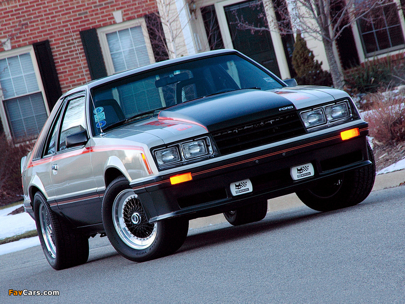 Mustang Indy 500 Pace Car 1979 wallpapers (800 x 600)