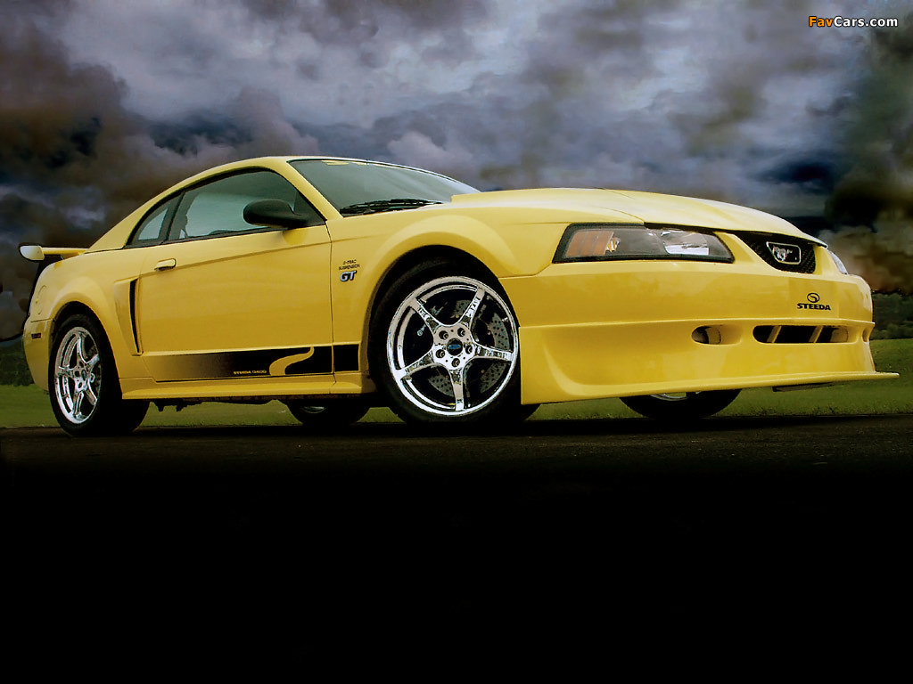 Images of Steeda Mustang GT 1998–2004 (1024 x 768)