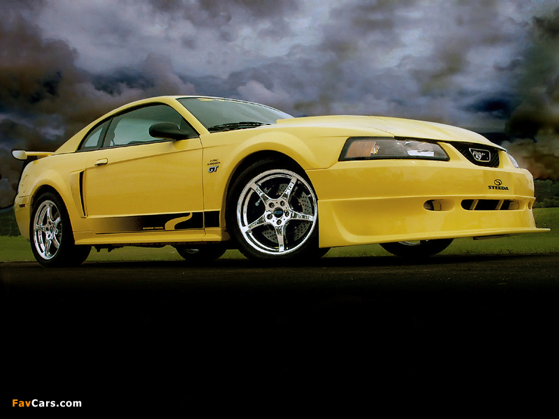 Images of Steeda Mustang GT 1998–2004 (800 x 600)