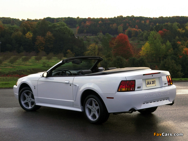 Images of Mustang SVT Cobra Convertible 1999–2002 (640 x 480)