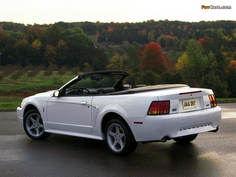 Images of Mustang SVT Cobra Convertible 1999–2002 (800 x 600)