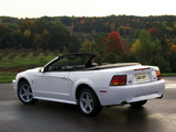 Images of Mustang SVT Cobra Convertible 1999–2002