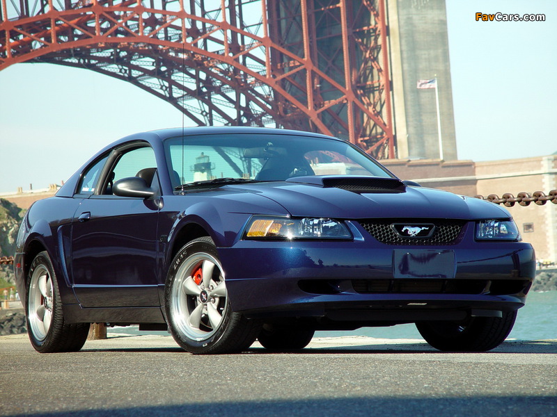 Images of Mustang Bullitt GT 2001 (800 x 600)