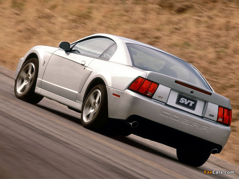 Images of Mustang SVT Cobra Coupe 2002–04 (800 x 600)