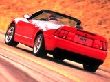 Images of Mustang SVT Cobra Convertible 2002–04