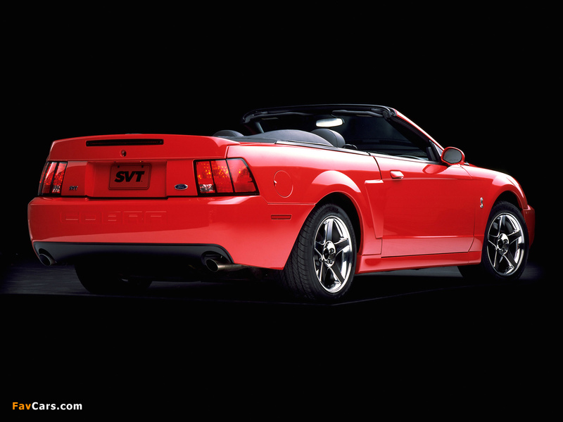 Images of Mustang SVT Cobra Convertible 2002–04 (800 x 600)