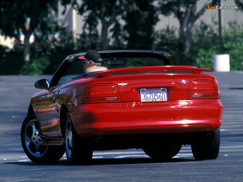 Mustang Cobra Convertible Indy 500 Pace Car 1994 pictures (800 x 600)