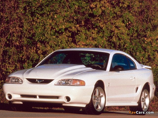 Mustang SVT Cobra R 1995 pictures (640 x 480)