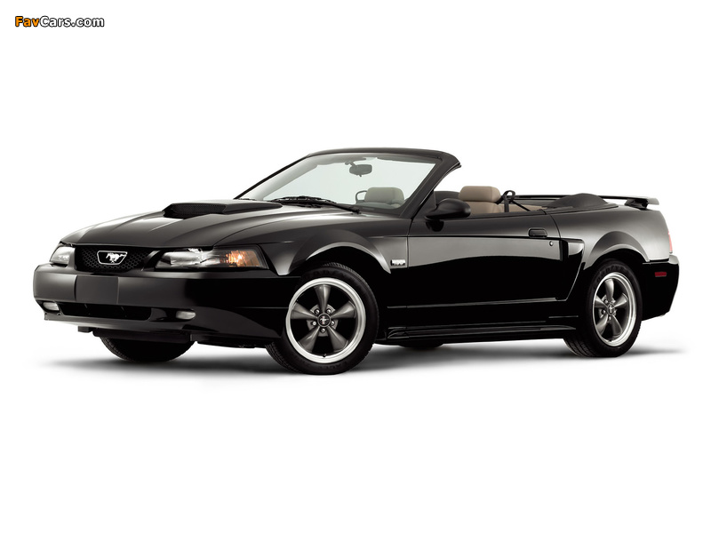 Mustang GT Convertible 1999–2004 images (800 x 600)
