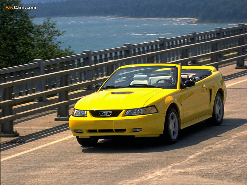 Mustang GT Convertible 1999–2004 wallpapers (800 x 600)