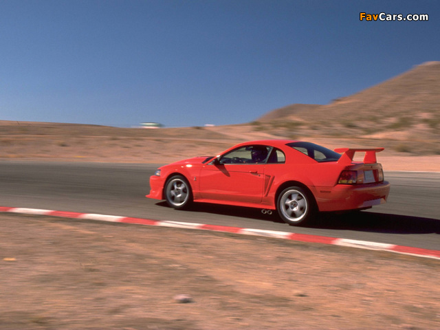 Mustang SVT Cobra R 2000–04 photos (640 x 480)