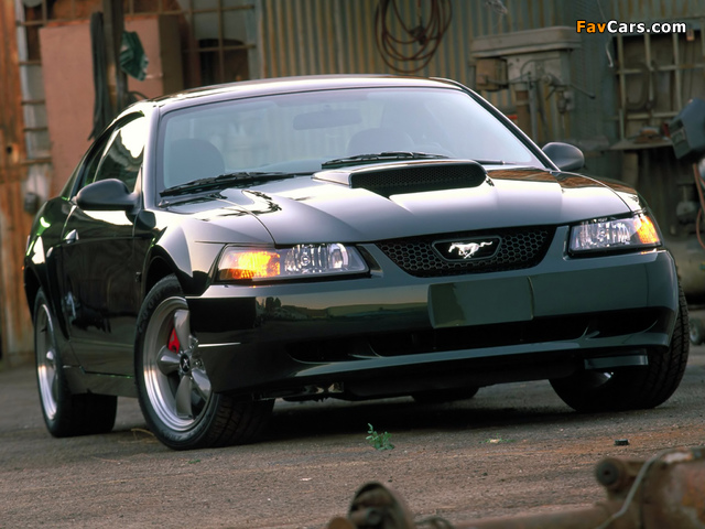 Mustang Bullitt GT 2001 pictures (640 x 480)