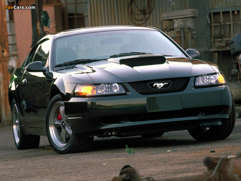 Mustang Bullitt GT 2001 pictures (800 x 600)