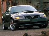 Mustang Bullitt GT 2001 pictures