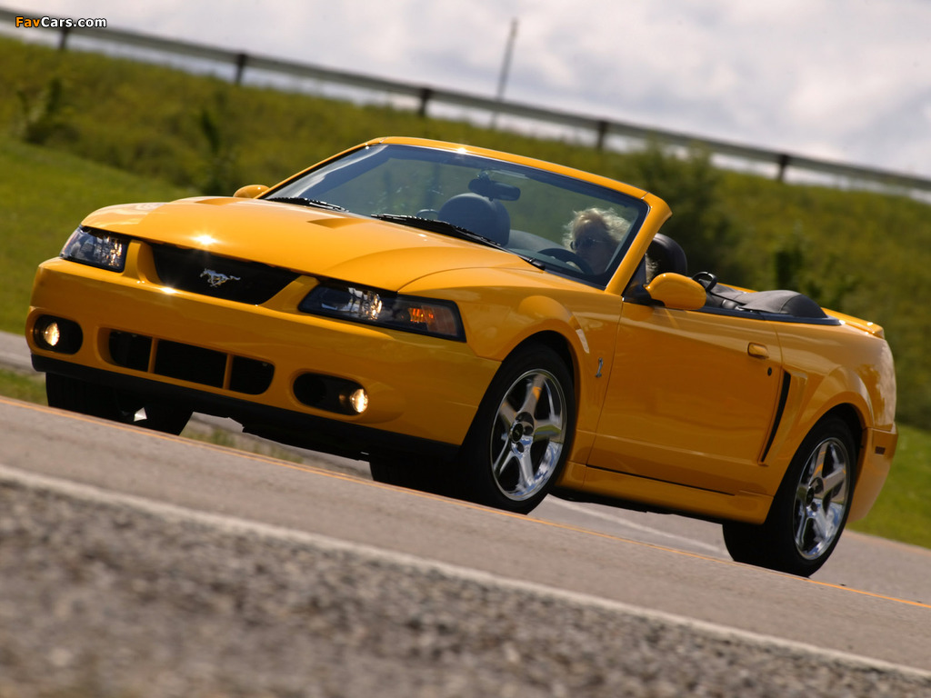 Mustang SVT Cobra Convertible 2002–04 images (1024 x 768)