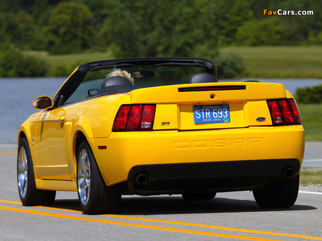 Mustang SVT Cobra Convertible 2002–04 photos (640 x 480)