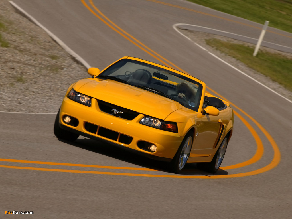 Mustang SVT Cobra Convertible 2002–04 photos (1024 x 768)