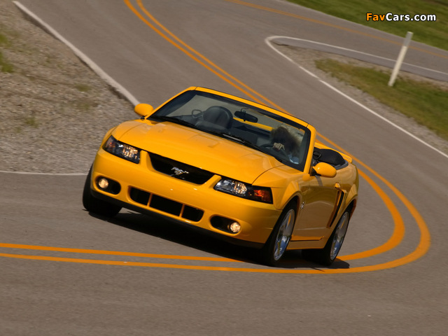 Mustang SVT Cobra Convertible 2002–04 photos (640 x 480)