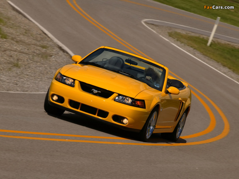 Mustang SVT Cobra Convertible 2002–04 photos (800 x 600)