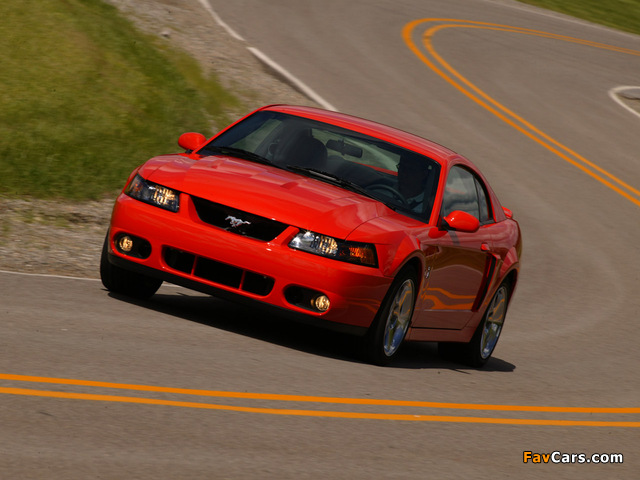 Mustang SVT Cobra Coupe 2002–04 photos (640 x 480)