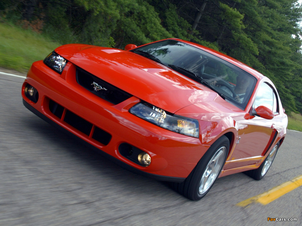 Mustang SVT Cobra Coupe 2002–04 photos (1024 x 768)