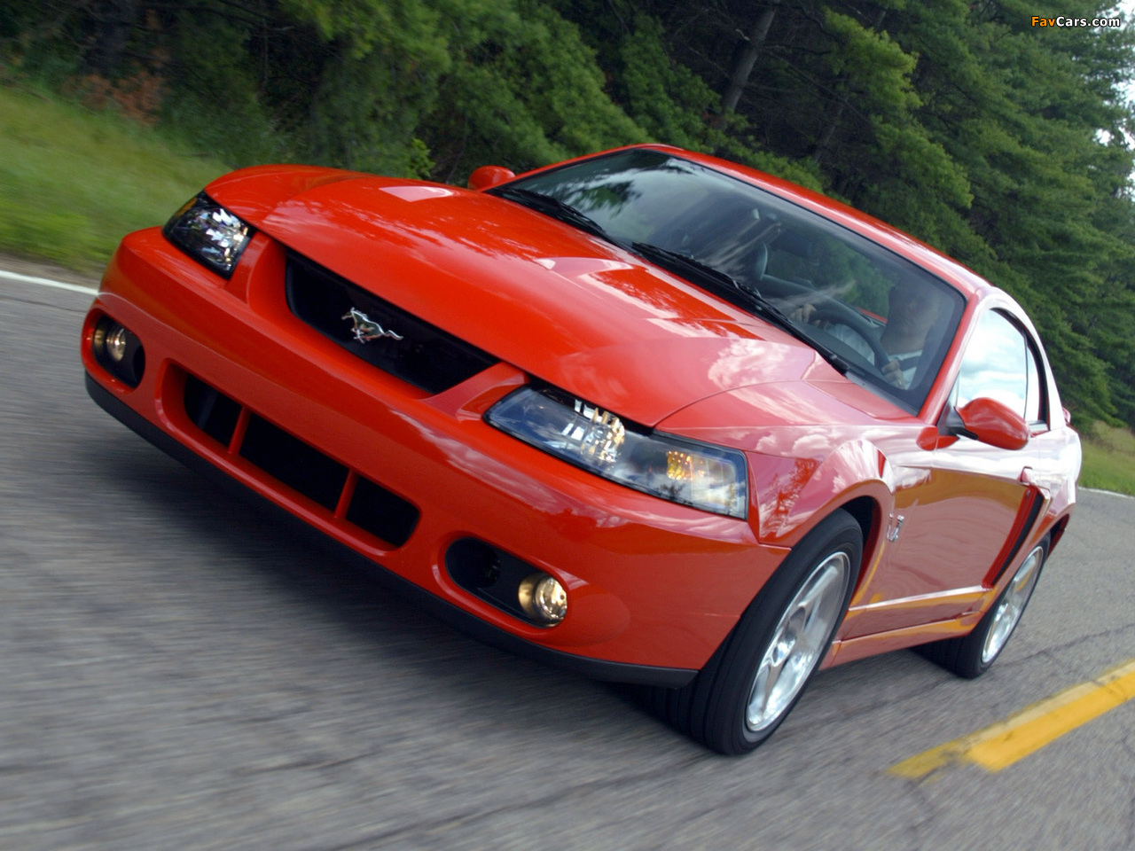 Mustang SVT Cobra Coupe 2002–04 photos (1280 x 960)