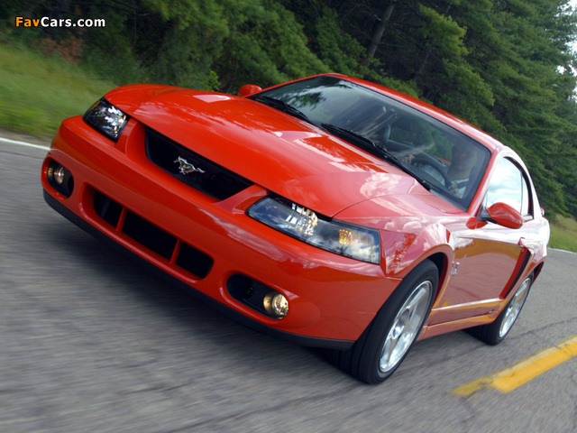 Mustang SVT Cobra Coupe 2002–04 photos (640 x 480)
