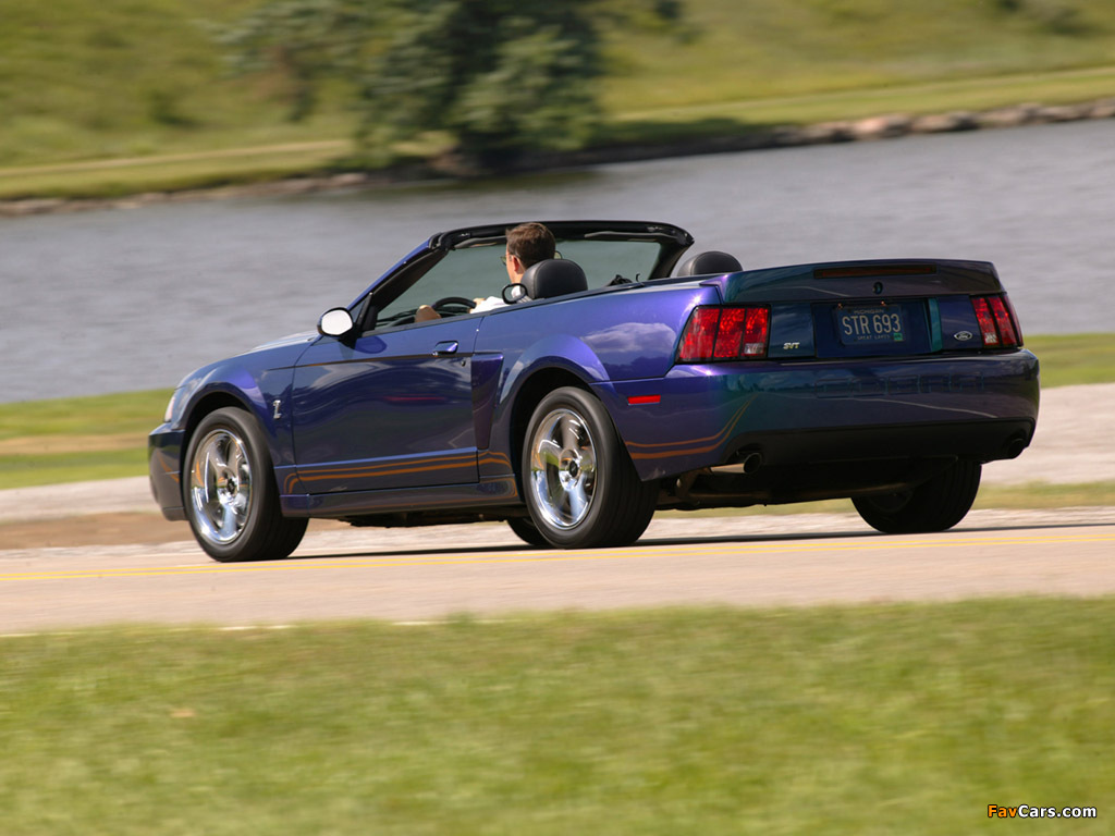Mustang SVT Cobra Convertible 2002–04 pictures (1024 x 768)