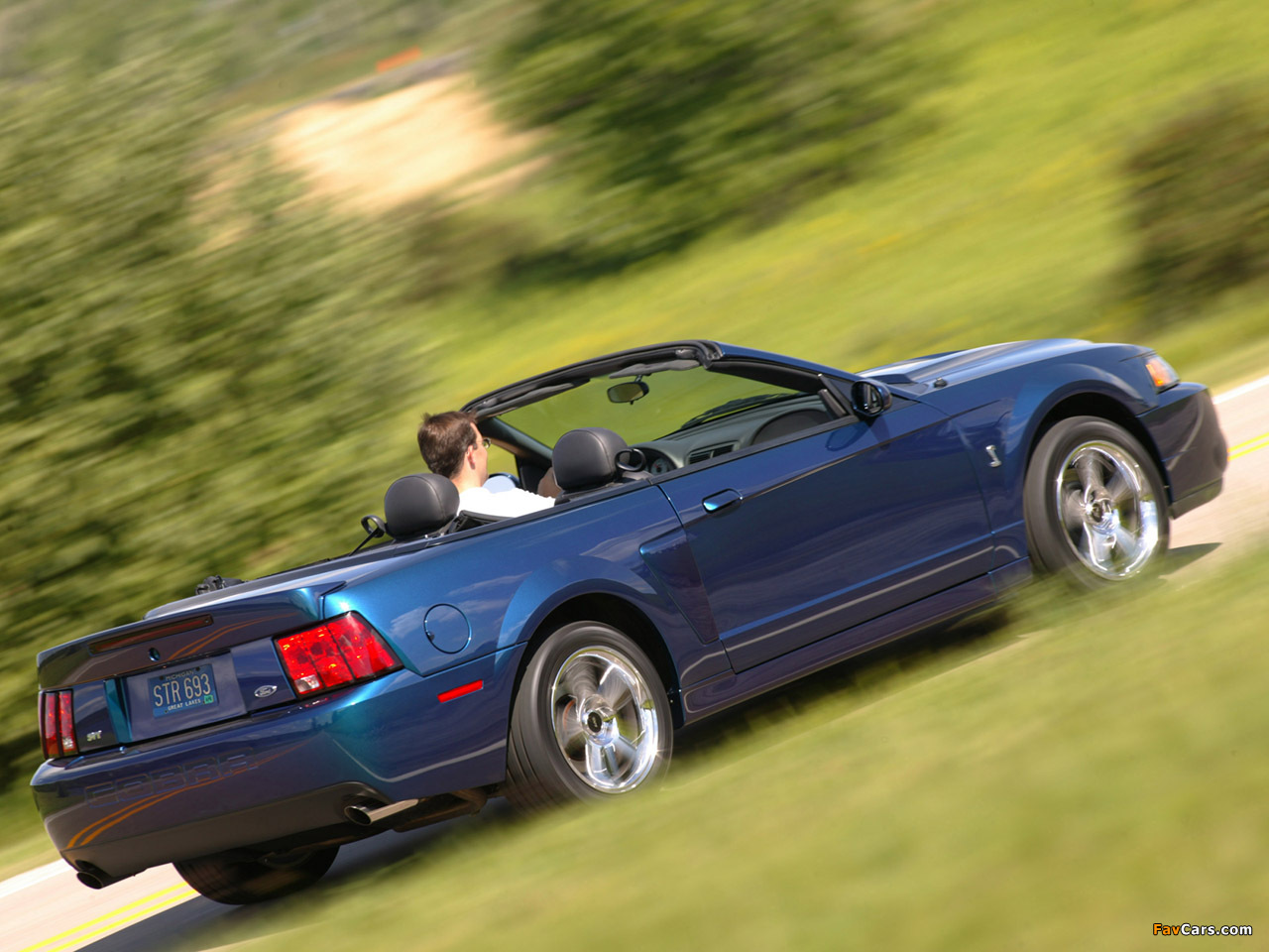 Mustang SVT Cobra Convertible 2002–04 pictures (1280 x 960)
