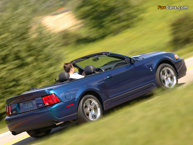 Mustang SVT Cobra Convertible 2002–04 pictures (640 x 480)