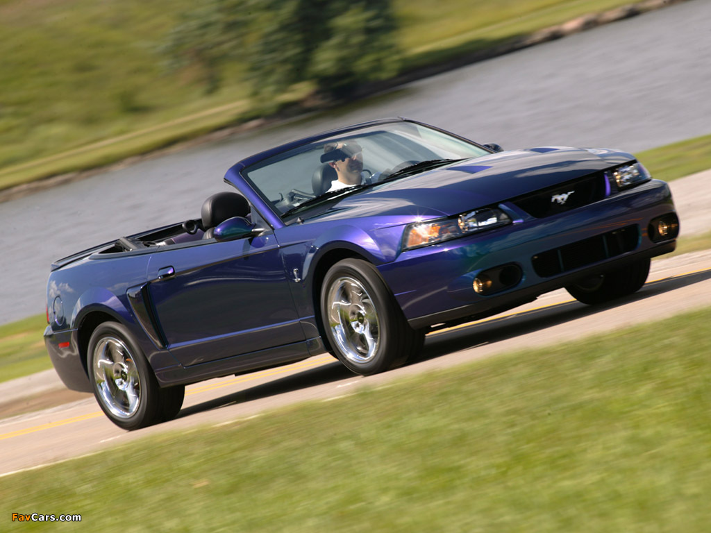 Mustang SVT Cobra Convertible 2002–04 wallpapers (1024 x 768)