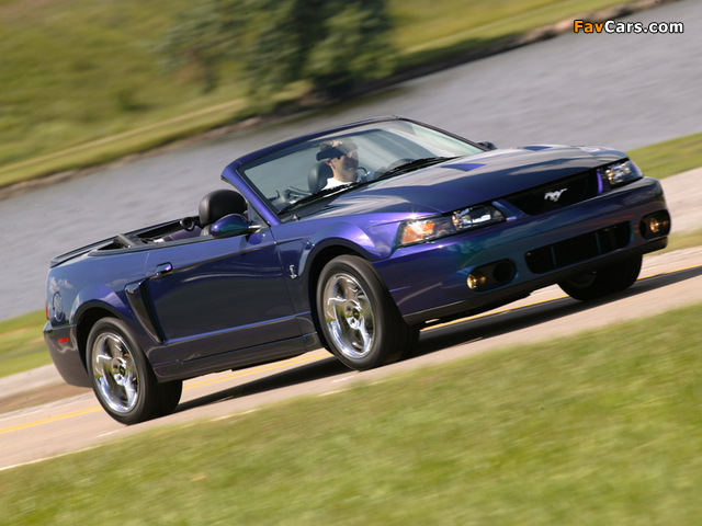 Mustang SVT Cobra Convertible 2002–04 wallpapers (640 x 480)