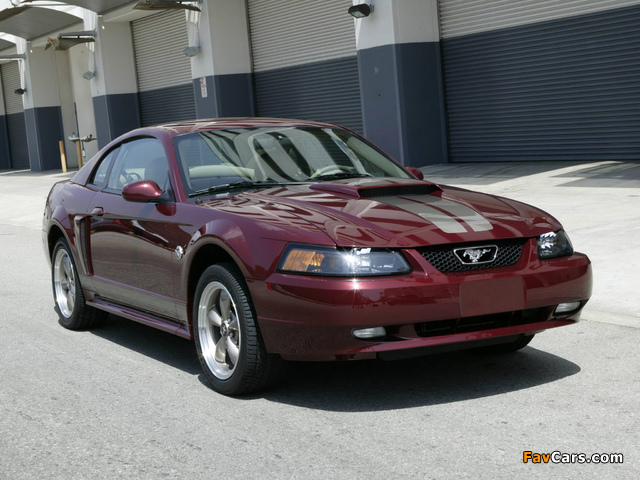 Mustang Coupe 40th Anniversary 2004 wallpapers (640 x 480)