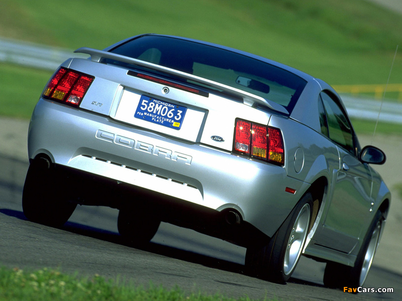 Photos of Mustang SVT Cobra Coupe 1999–2002 (800 x 600)