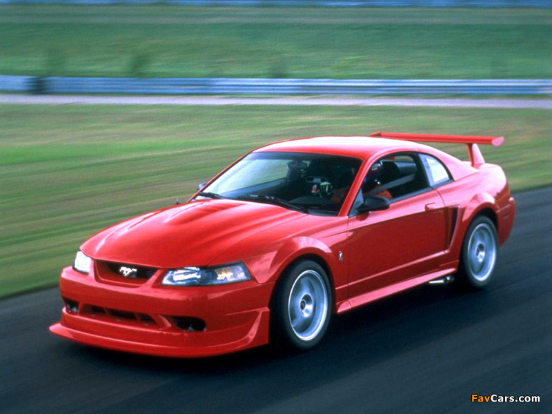Photos of Mustang SVT Cobra R 2000–04 (800 x 600)