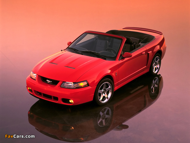 Photos of Mustang SVT Cobra Convertible 2002–04 (640 x 480)