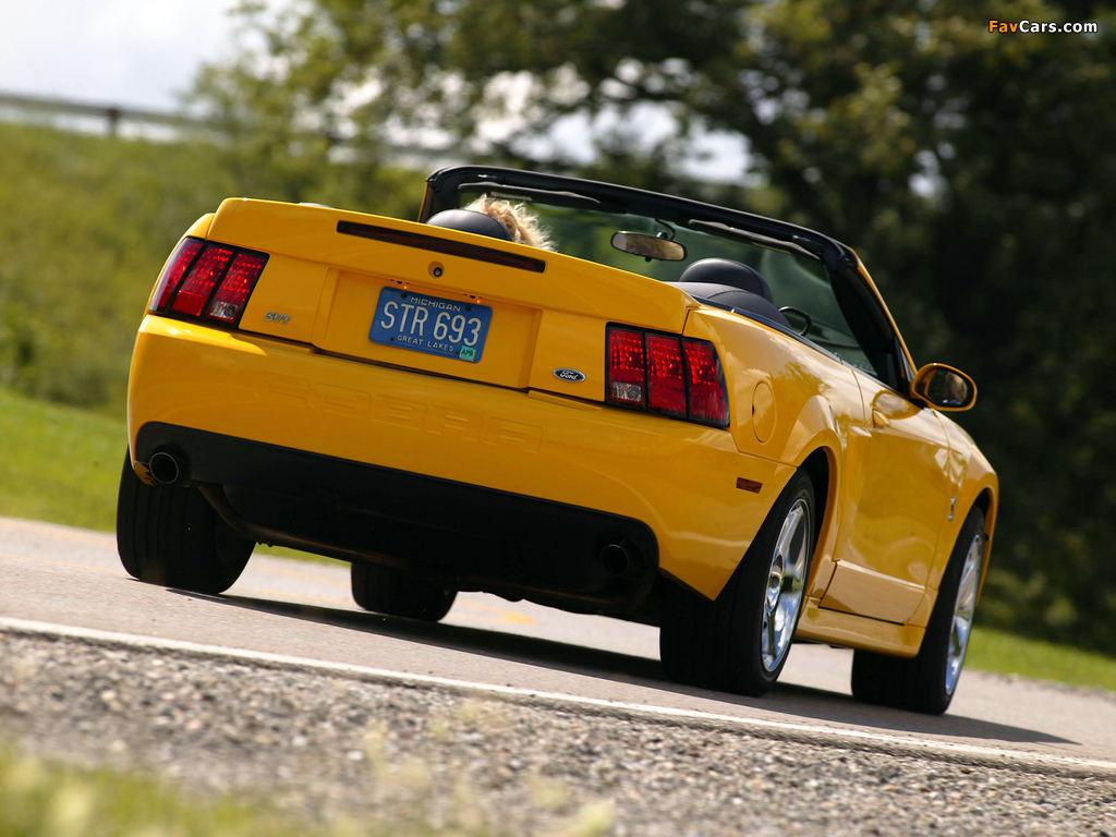 Photos of Mustang SVT Cobra Convertible 2002–04 (1024 x 768)