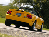 Photos of Mustang SVT Cobra Convertible 2002–04