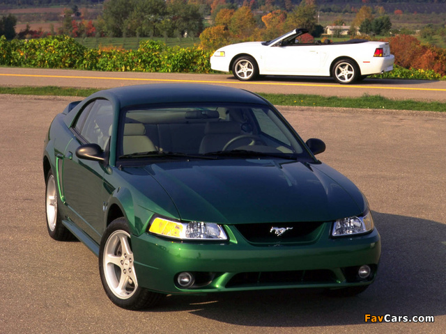 Pictures of Mustang MkIV 1990–2005 (640 x 480)