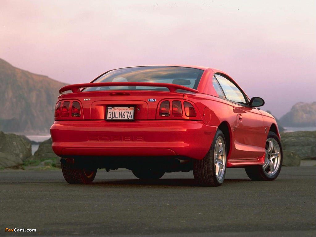 Pictures of Mustang SVT Cobra Coupe 1996–98 (1024 x 768)