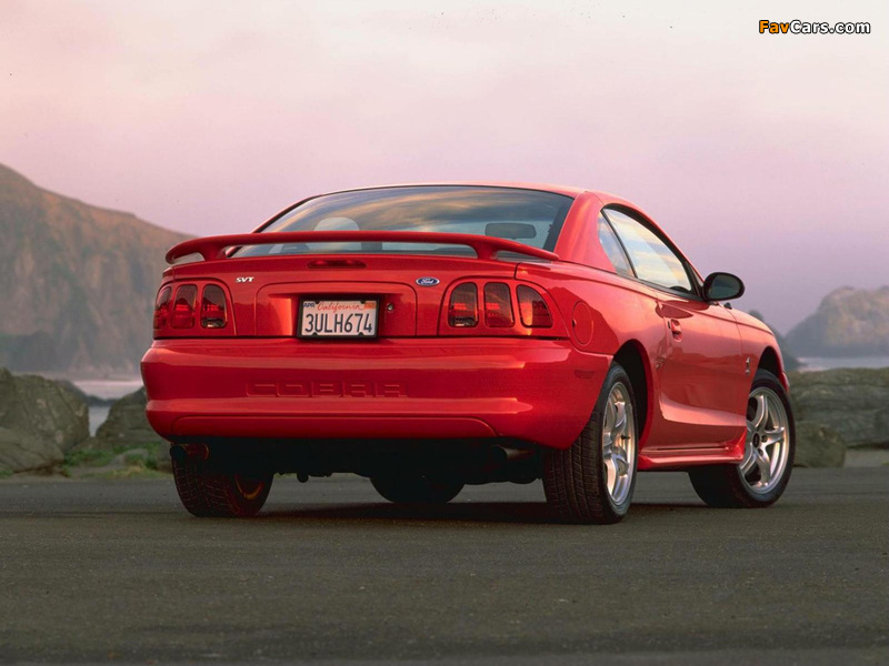 Pictures of Mustang SVT Cobra Coupe 1996–98 (800 x 600)
