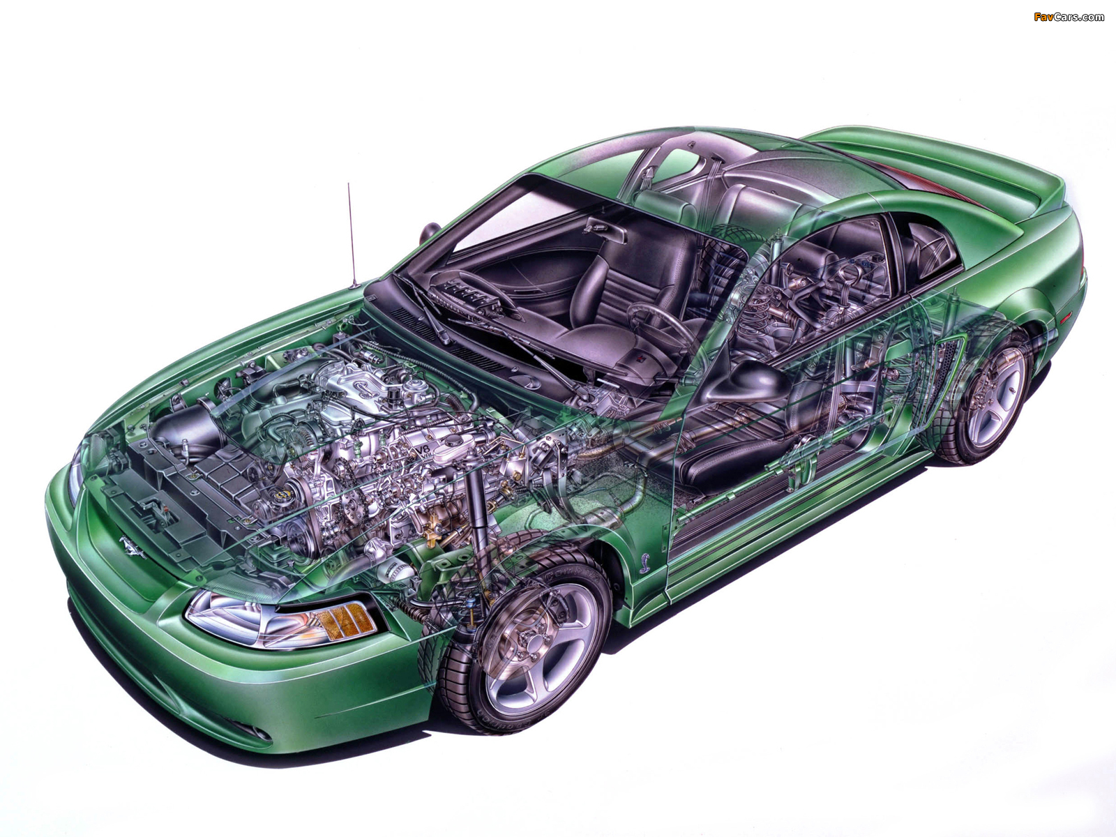 Pictures of Mustang SVT Cobra Coupe 1999–2002 (1600 x 1200)