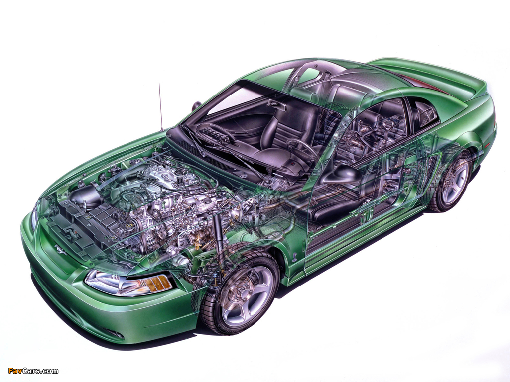 Pictures of Mustang SVT Cobra Coupe 1999–2002 (1024 x 768)