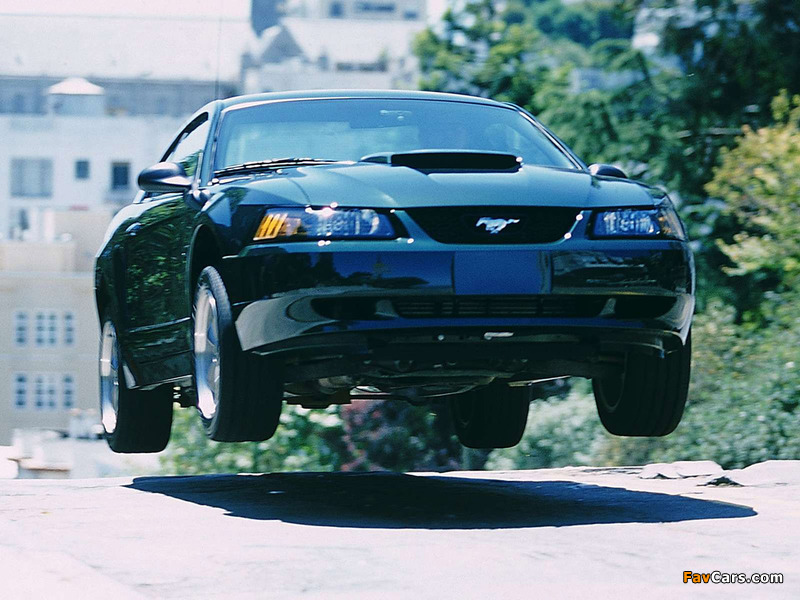 Pictures of Mustang Bullitt GT 2001 (800 x 600)
